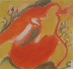 ציפורים20 - 