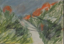 נוף מיוחד - 