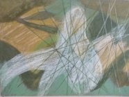ציפור לבנה על רקע העמק - 